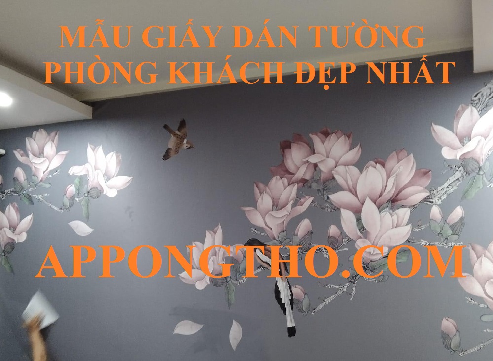 Dịch vụ đưa mẫu gấy dán tường tại nhà miễn phí tại App Ong Thợ