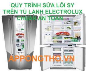 Hỏi đáp lỗi SY tủ lạnh Electrolux Side By Side ( FAQ )